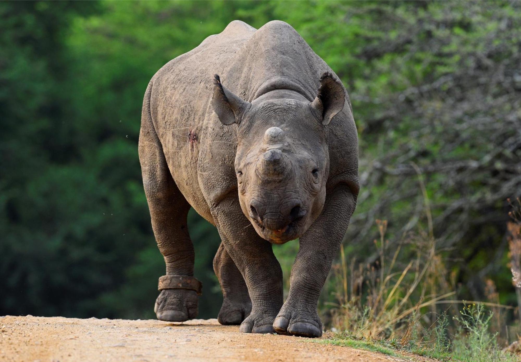 Valley Lodge - Babanango Game Reserve 던디 외부 사진