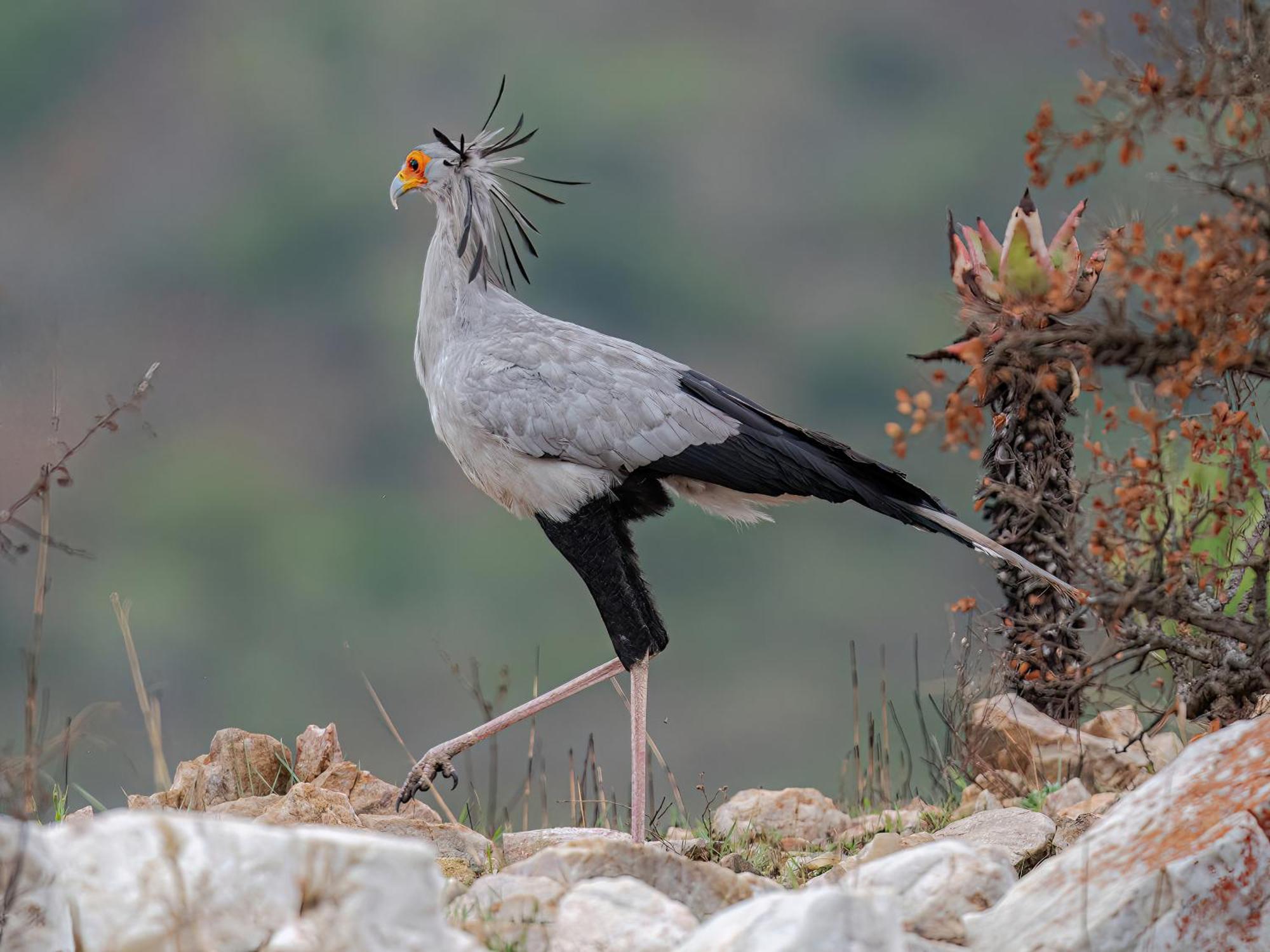Valley Lodge - Babanango Game Reserve 던디 외부 사진