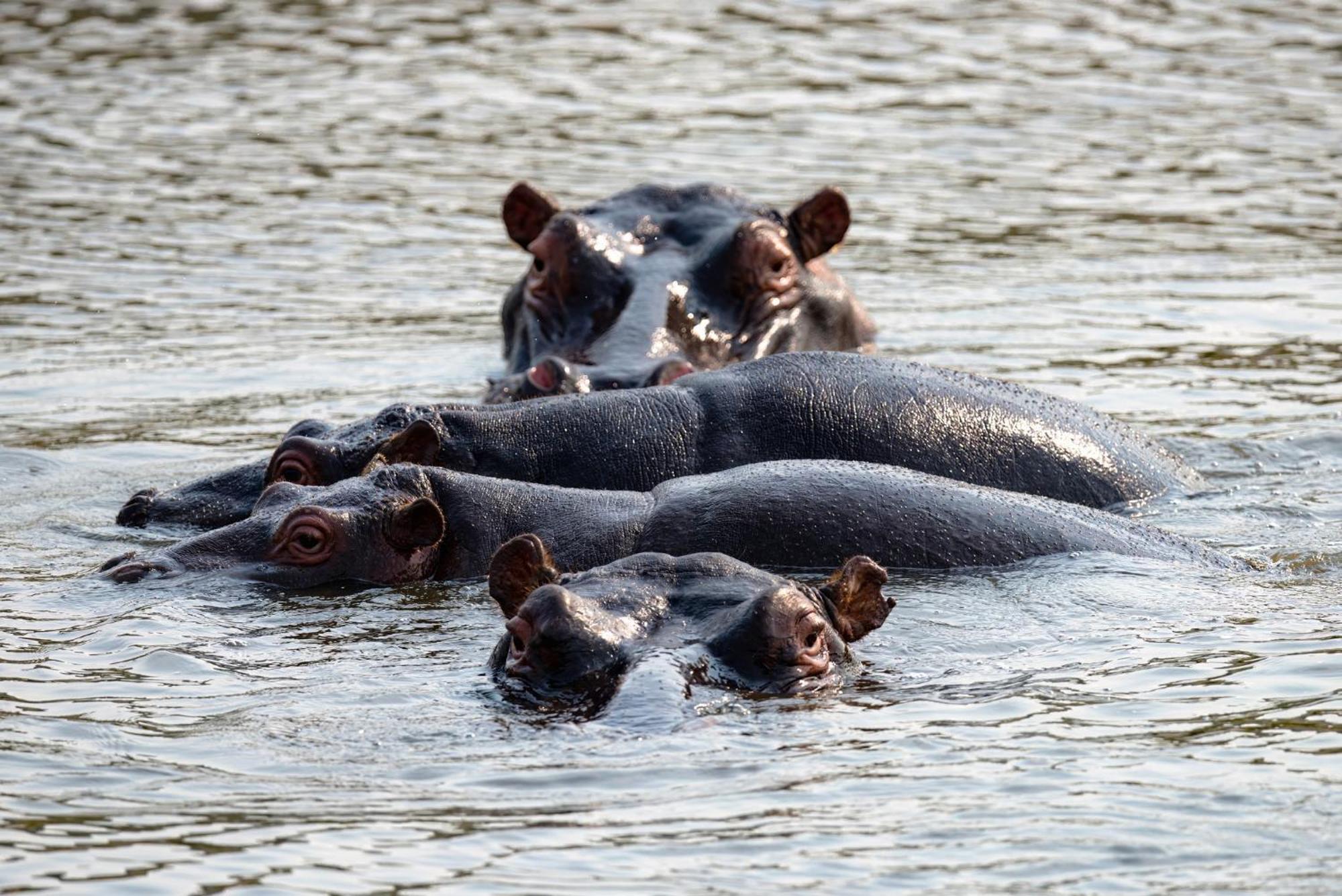 Valley Lodge - Babanango Game Reserve 던디 외부 사진