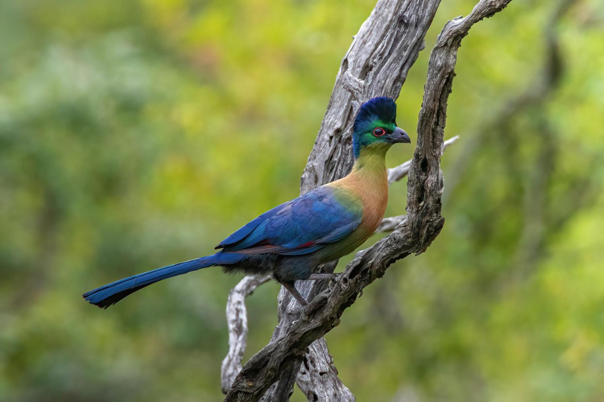 Valley Lodge - Babanango Game Reserve 던디 외부 사진
